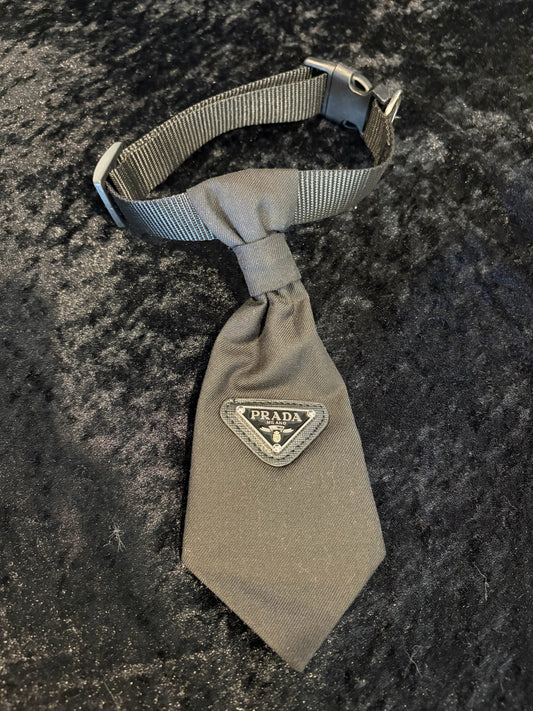 City Pup Luxe Walk Set – Collar, Leash & Treat Pouch ✨