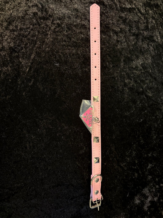 Pink Rebel Pup Walk Set – Studded Luxe Collection