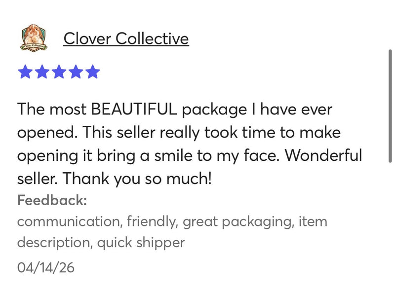 Customer review screenshot 14