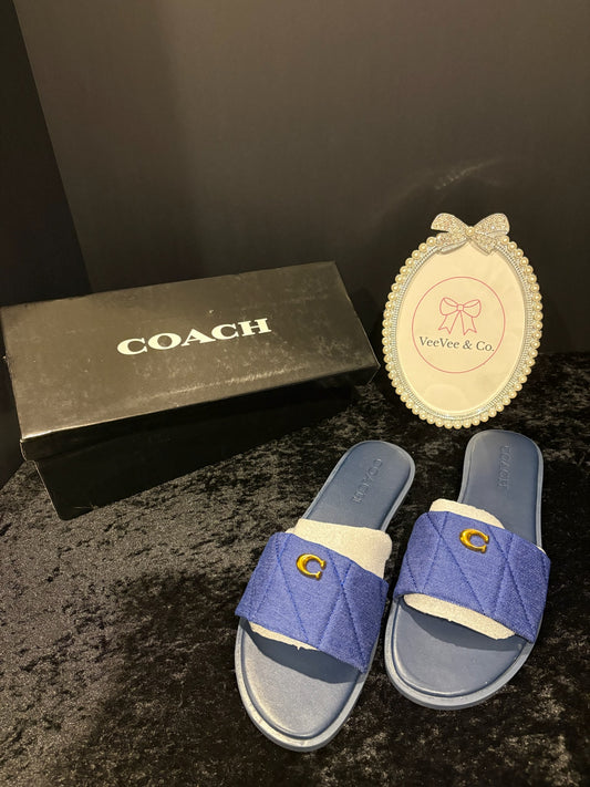 Denim Dream Sandals – Gold Emblem ✨