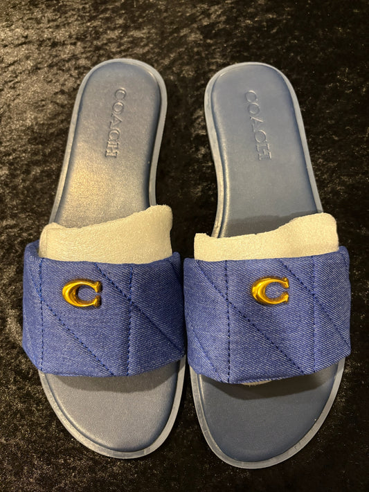 Denim Dream Sandals – Gold Emblem ✨