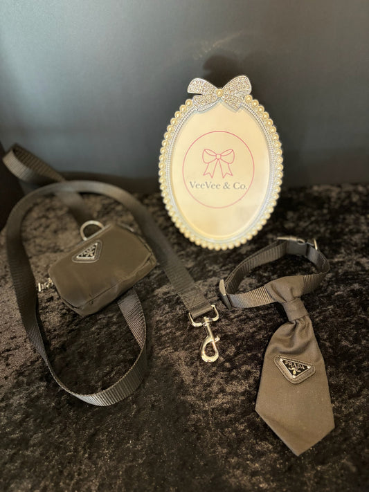 City Pup Luxe Walk Set – Collar, Leash & Treat Pouch ✨