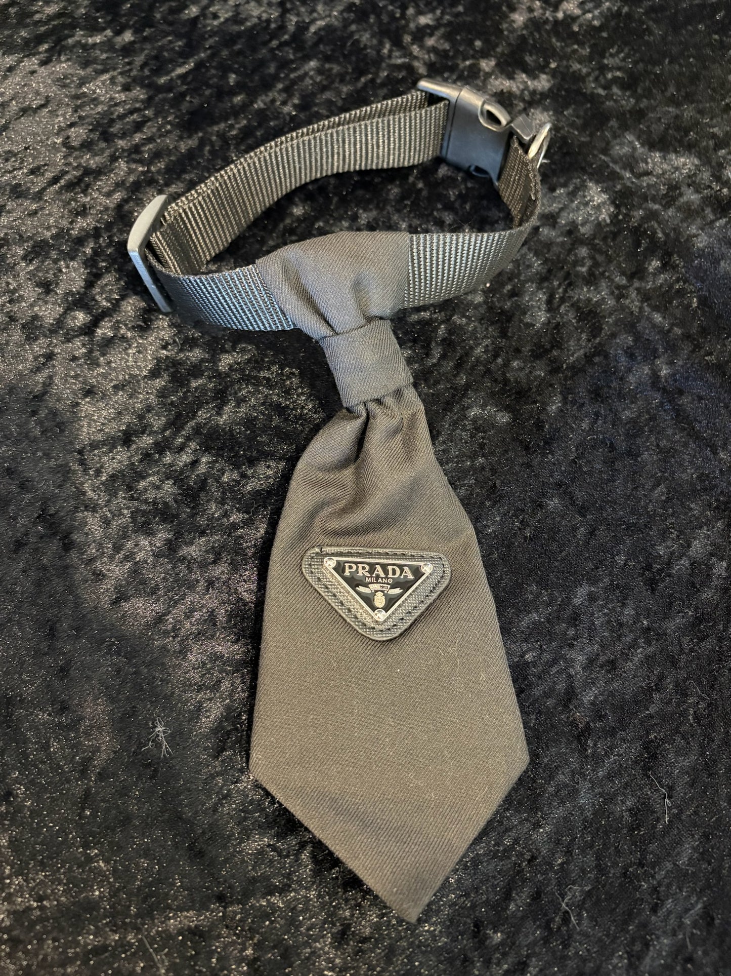 City Pup Luxe Walk Set – Collar, Leash & Treat Pouch ✨